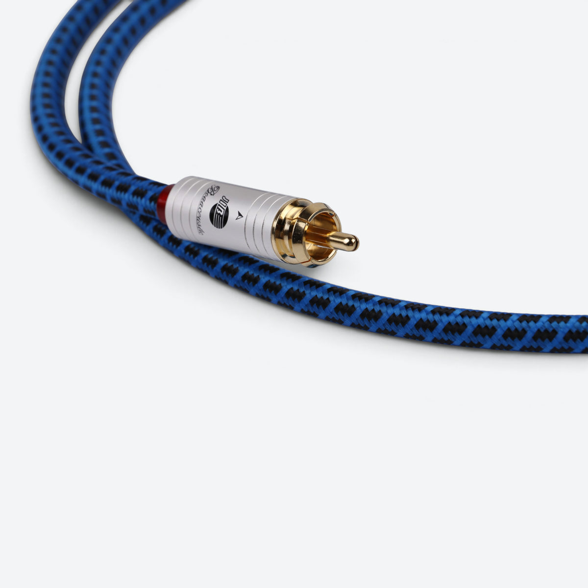 Blueberry SIGNAL.cinch1 (BB-002)