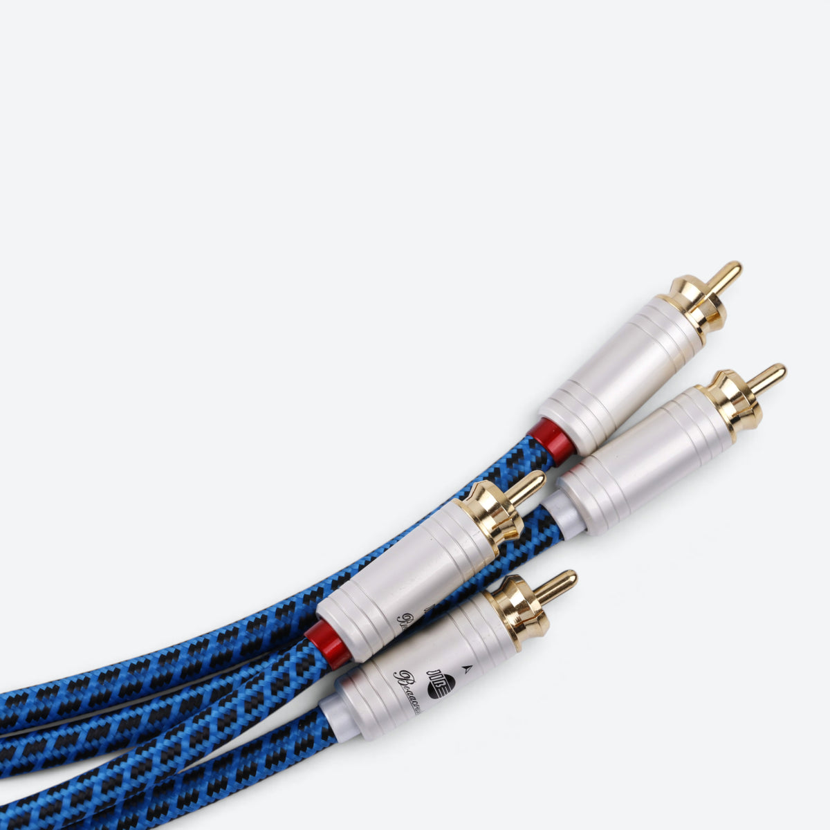 Blueberry SIGNAL.cinch2 (BB-005)