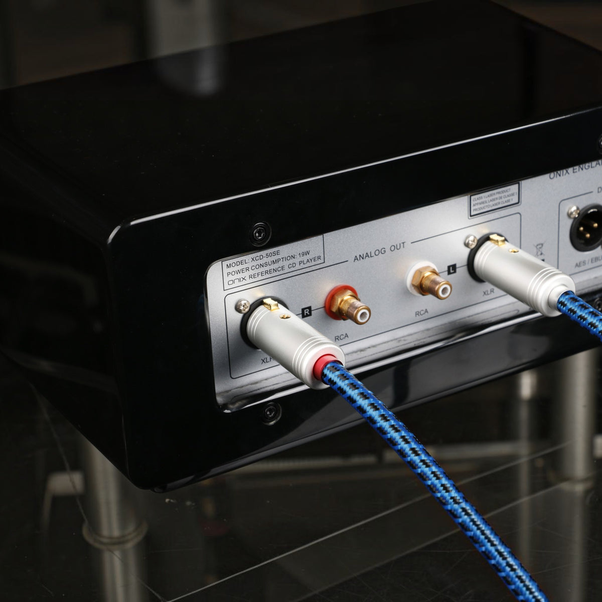 Blueberry SIGNAL.xlr (BB-006)