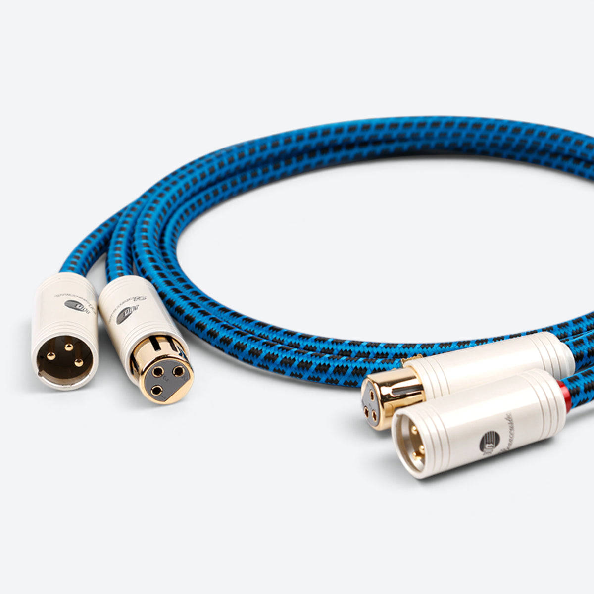 Blueberry SIGNAL.xlr (BB-006)