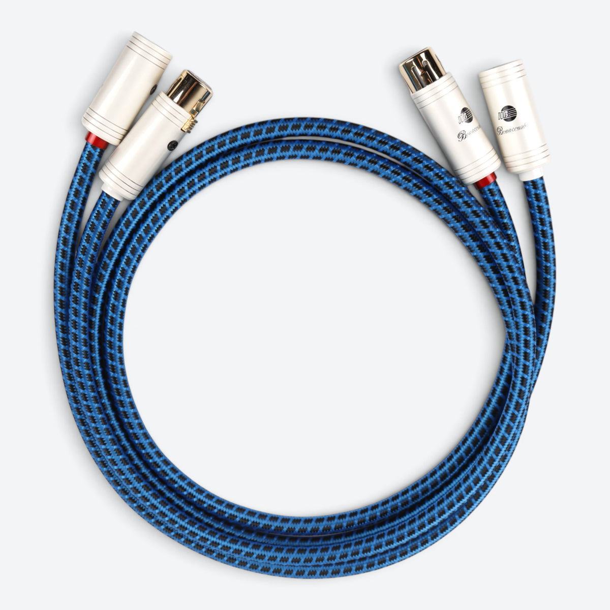 Blueberry SIGNAL.xlr (BB-006)