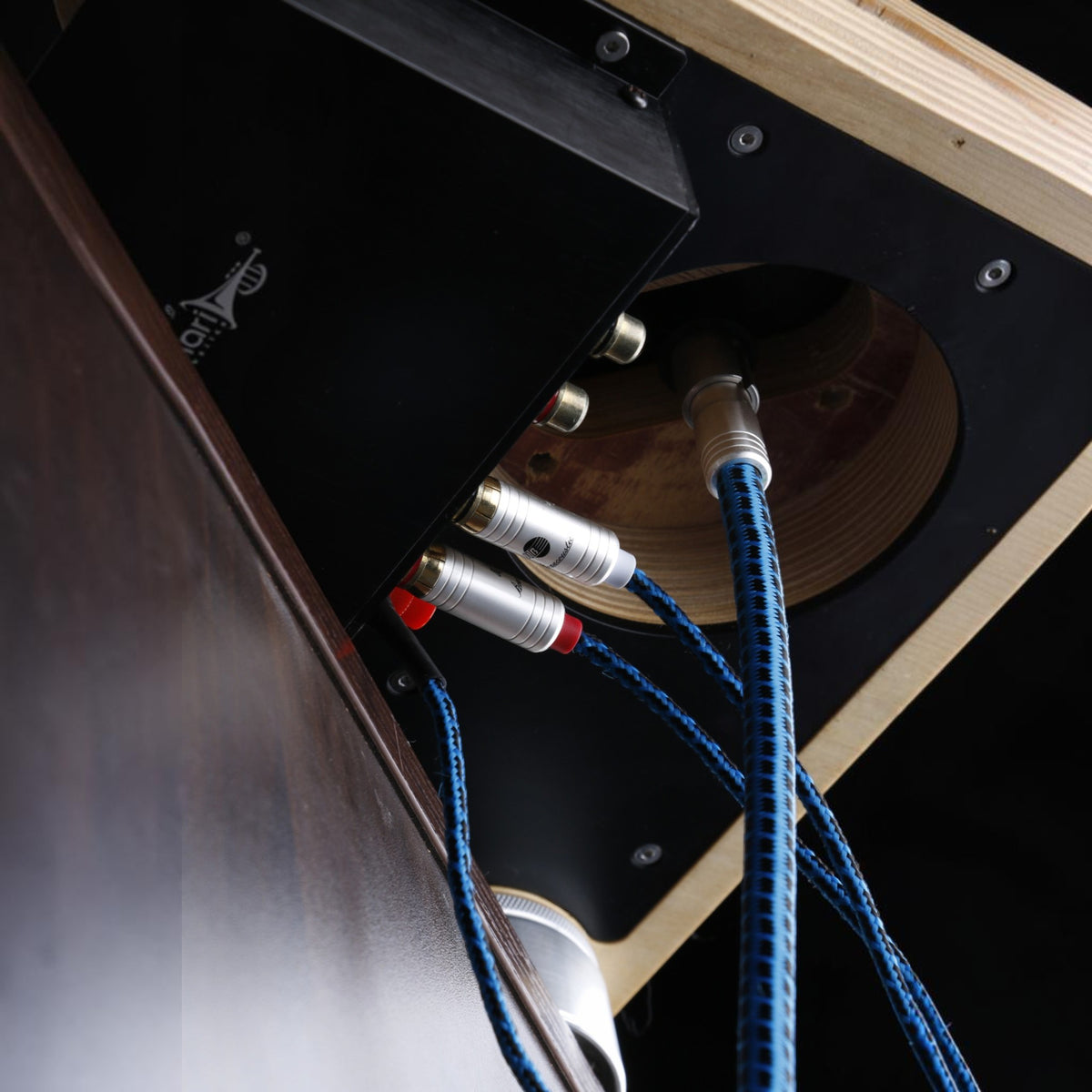 Blueberry SIGNAL.phono5pin (BB-011)
