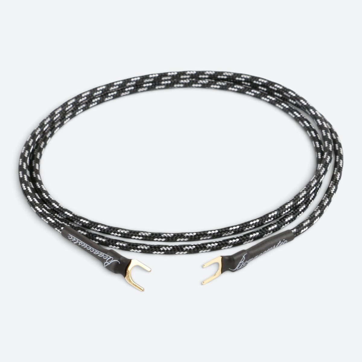 Evolution BLACK.ground (BEB-2010)