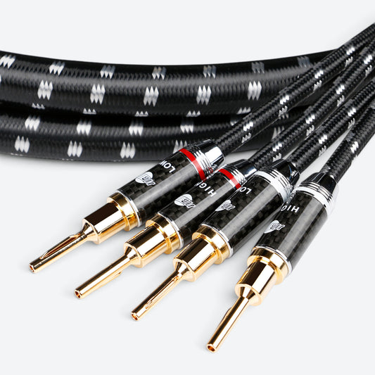 Evolution BLACK.sonic-17.biWire (BEB-2024)