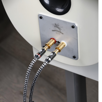 Argentum SILVER.sonic-16 (BAS-2203)