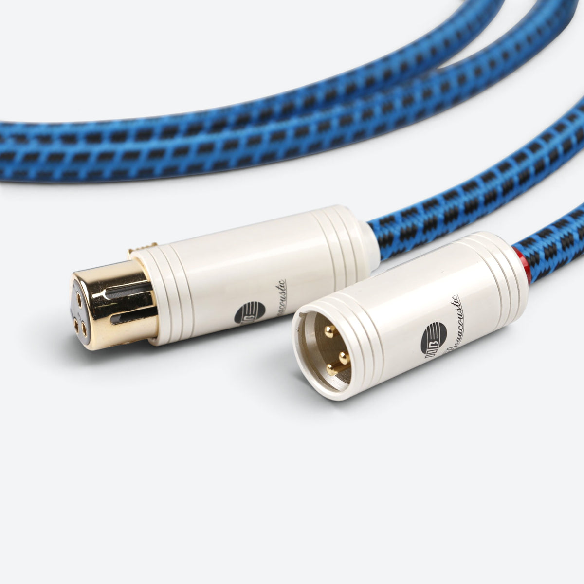 Blueberry SIGNAL.xlr (BB-006)