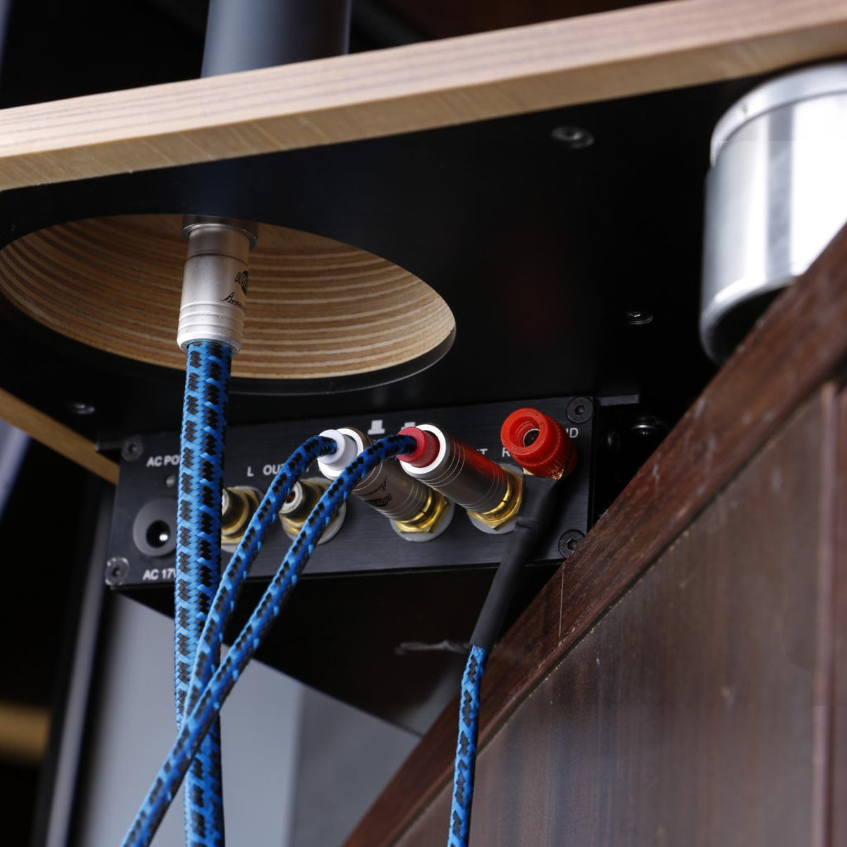 Blueberry SIGNAL.phono5pin (BB-011)