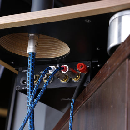 Blueberry SIGNAL.phono5pin (BB-011)