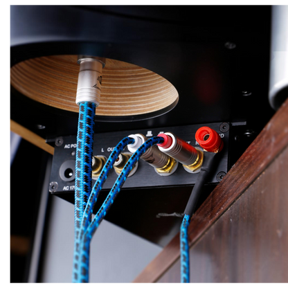 Blueberry SIGNAL.phono5pin (BB-011)