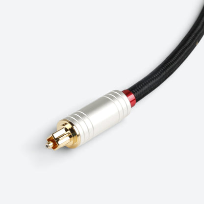 Blackberry TOSLINK (BB-101)