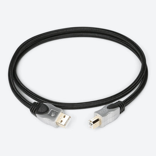 Blackberry USB2.0 (BB-110)