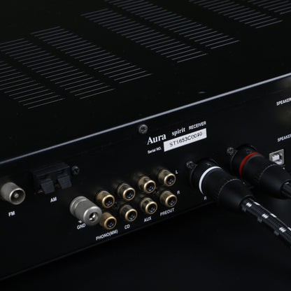 Evolution BLACK.xlr-8 (BEB-2003)