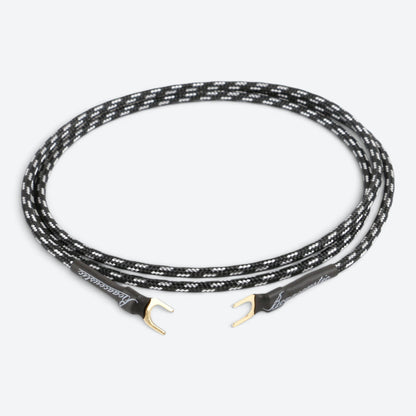 Evolution BLACK.ground (BEB-2010)