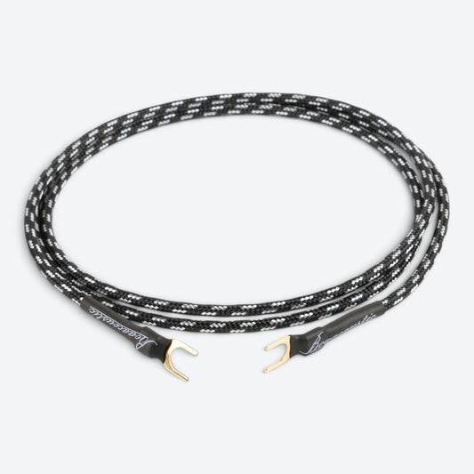 Evolution BLACK.ground (BEB-2010)