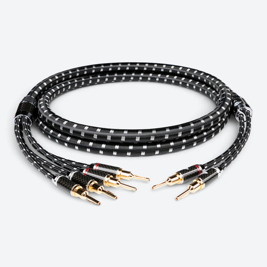 Evolution BLACK.sonic-17.biWire (BEB-2024)