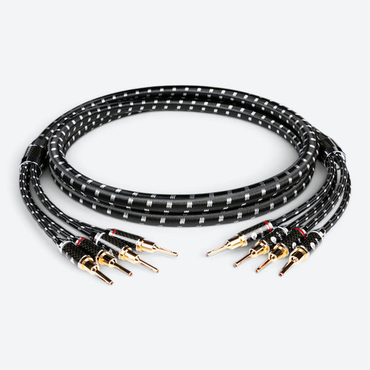 Evolution BLACK.sonic-17.biAmp (BEB-2044)