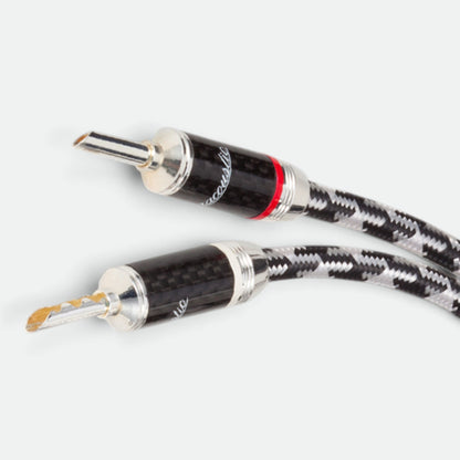 Zilver Zirkoon (DSP-001/SC)