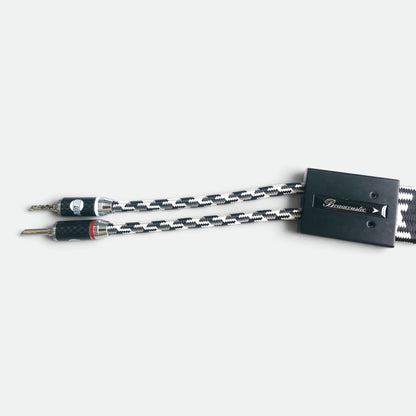 Zilver Zirkoon (DSP-001/SC)