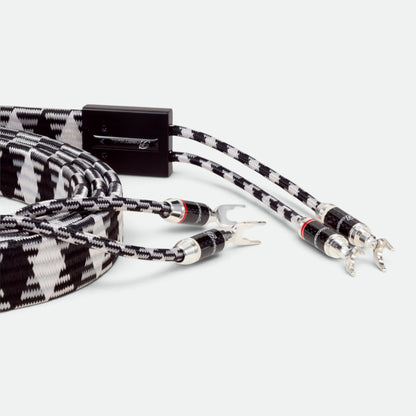 Zilver Zirkoon (DSP-001/SC)