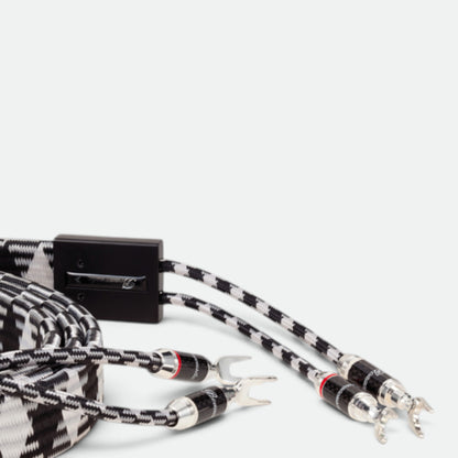 Zilver Zirkoon (DSP-001/SC)