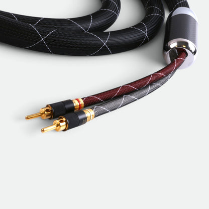 Vanadio (SB-005A-WBT0644)